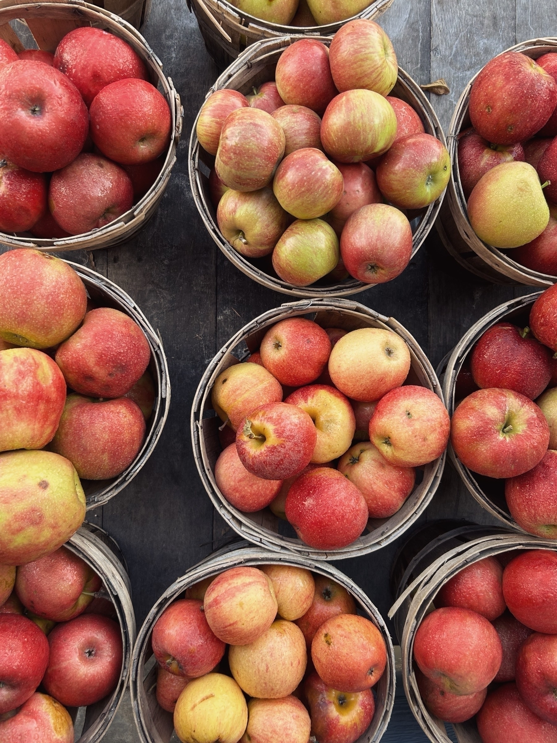 Baskets of red and yellow apples at Vanzant Fruit Farm